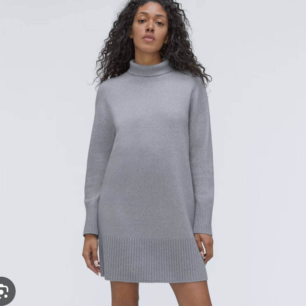 Everlane Wool Blend Long Cozy Fitted Turtleneck Sweater Size XS